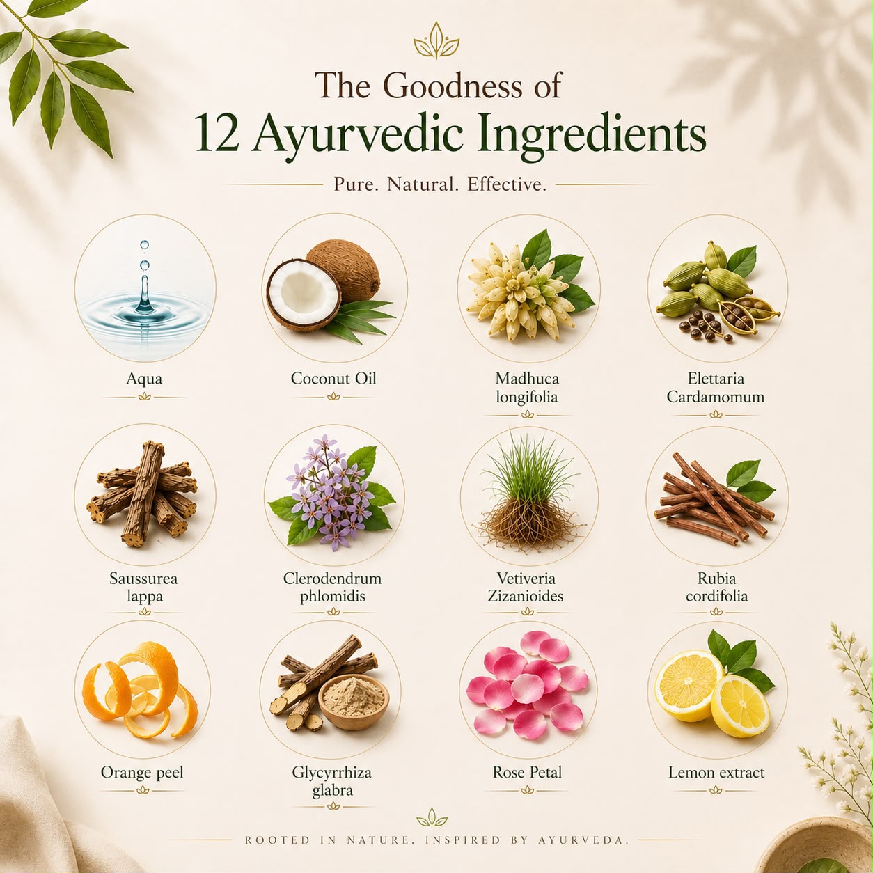 Varnyah: Body Brightening Tonic (Lotion)