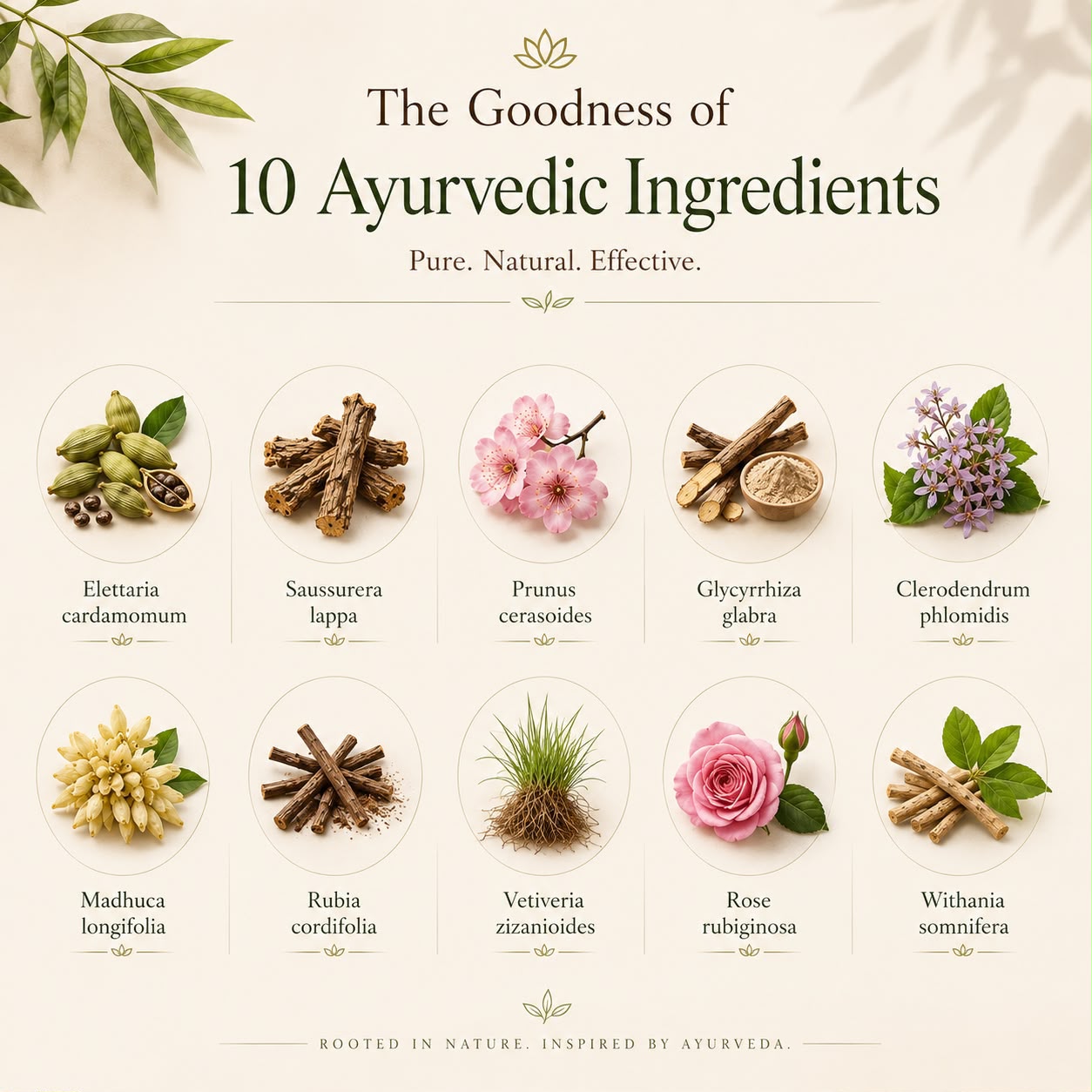 Varnyah : Skin Brightening Pack